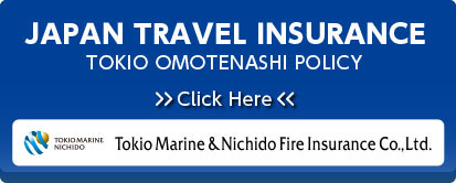 JAPAN TRAVEL INSURANCE　日本旅行保険
